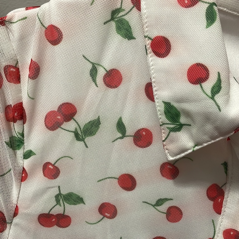 Cherry button up dress.